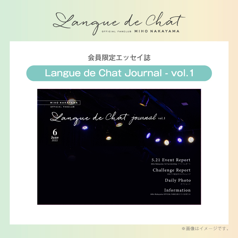 中山美穂ファンクラブ「Langue de Chat」会報 vol. 1～3 アイドル